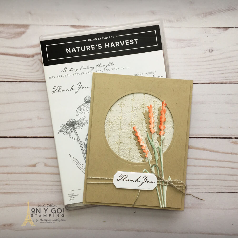 Easy water coloring and lots of texture on this handmade card using the Nature's Harvest stamp set from Stampin' Up! See more samples of this simple card design!