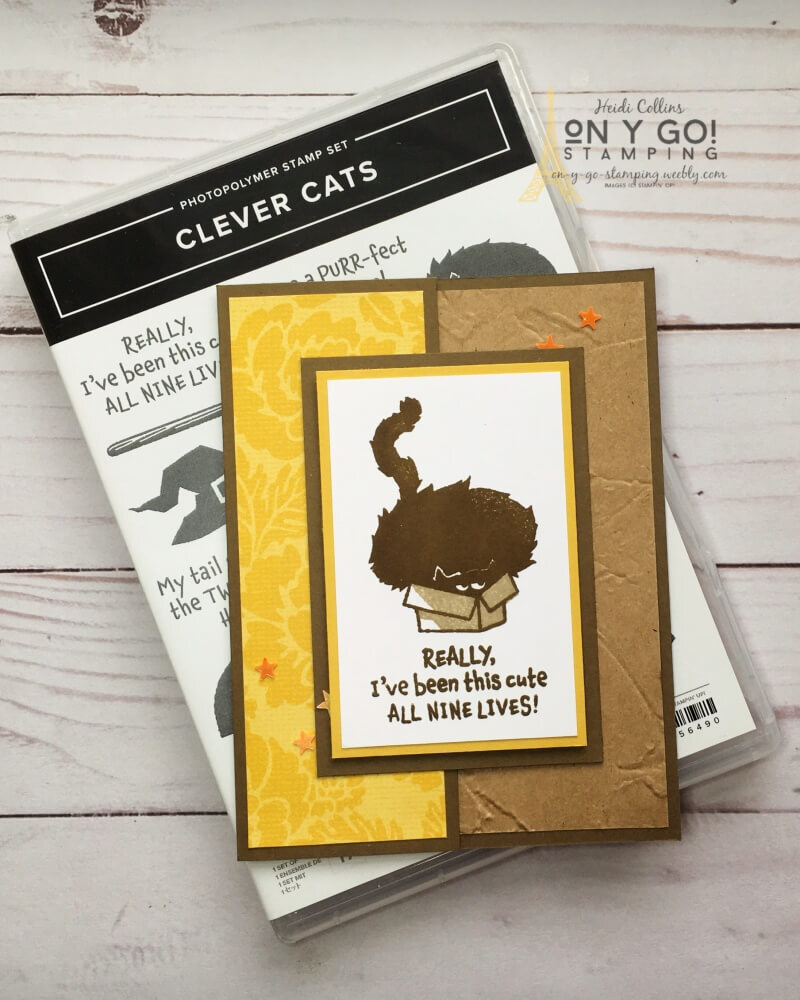 Handmade card idea with a fat cat in a tiny box. If he fits, he sits on this fun fold card design using the Clever Cats stamp set from Stampin' Up!