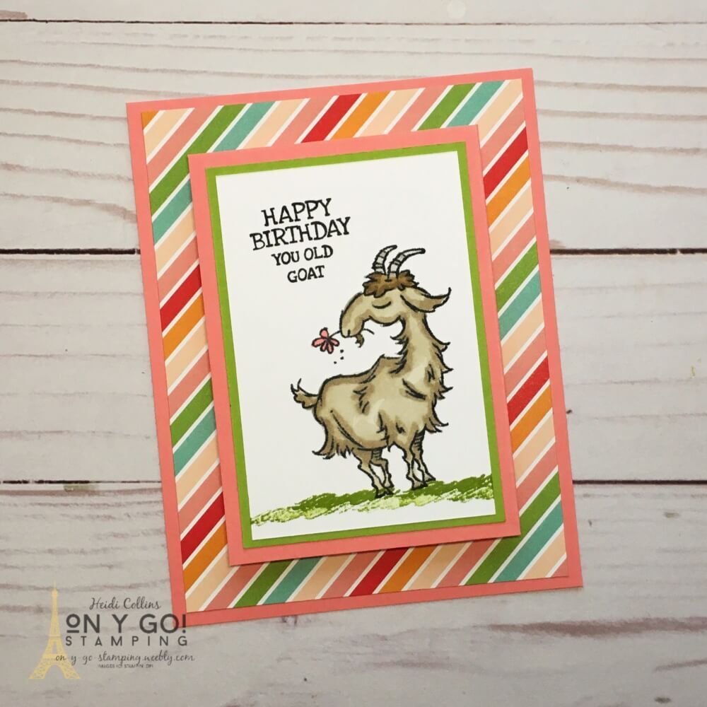 DIY Birthday gift card holder made with the Way to Goat stamps and Pattern Party patterned paper. This Birthday card is and easy to make gift card holder and perfect to give a Birthday gift.