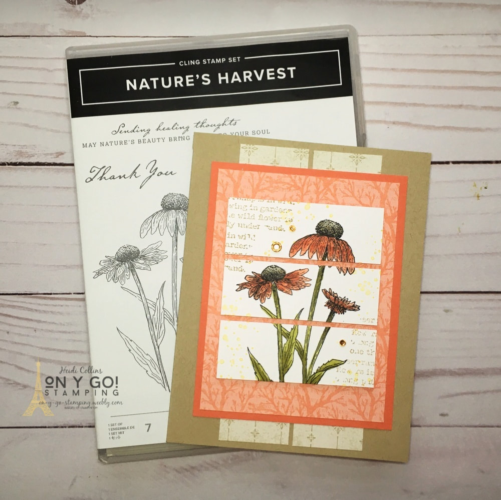 Floral card in fall colors with the Nature's Harvest stamp set from Stampin' Up! This card uses a simple card sketch and patterned paper for a quick and easy card.