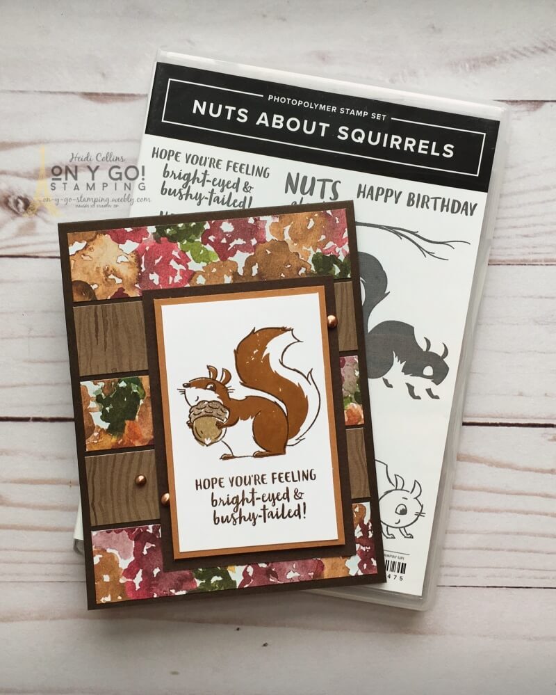 Nuts about Squirrels card for fall. This quick and easy card design is just stamps, ink, and paper, plus a couple of metallic dots. So easy to make!