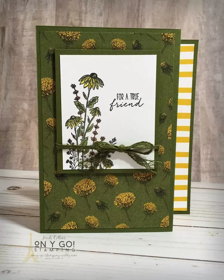 Fun fold card with the Dragonfly Garden stamp set. This z fold card is easy to make with the Dandy Garden patterned paper from Stampin' Up!