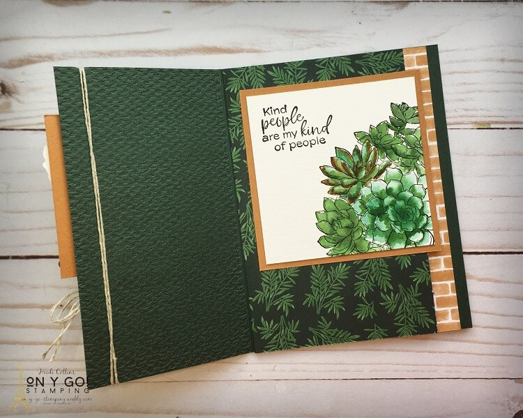 Fancy fold card idea that is partially opened. This book fold card uses the Simply Succulents stamp set and patterned paper to create a fantastic fun fold card.