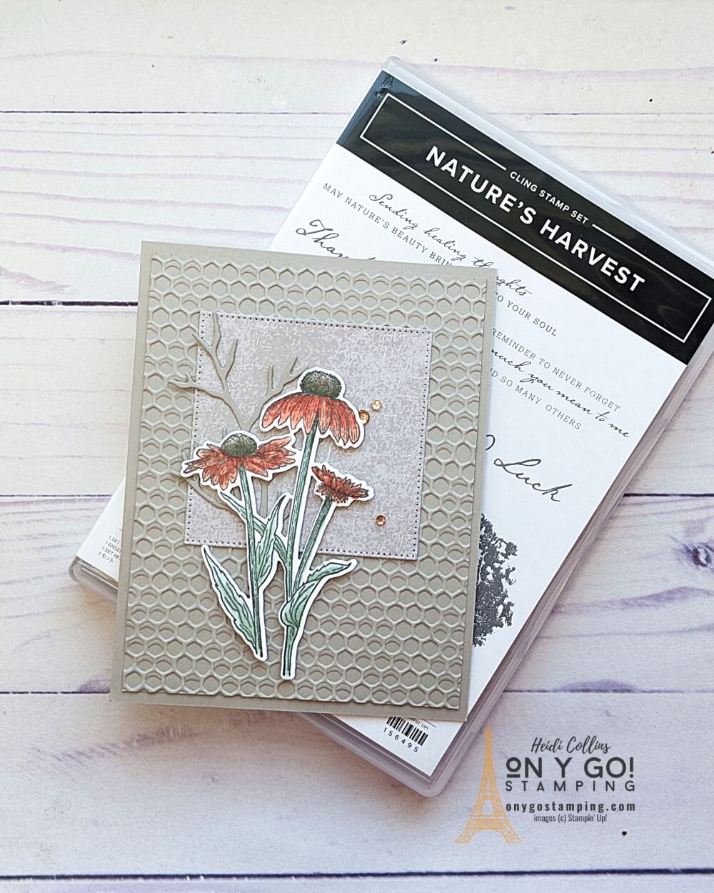 Beautifully elegant fall card idea using the Nature's Harvest stamp set and coordinating Harvest dies from Stampin' Up!