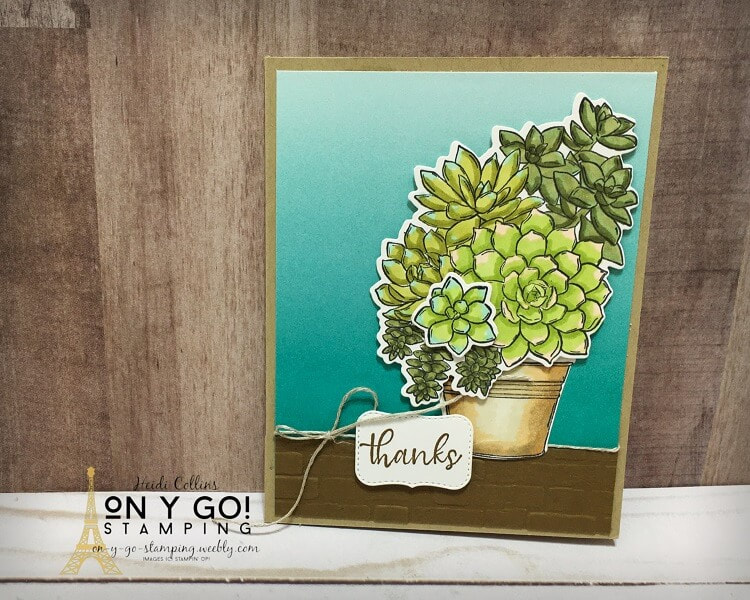 Card design using the Simply Succulents stamp set and dies from the 2021 January-June Mini Catalog and the Oh So Ombre patterned paper from the 2021 Sale-a-Bration brochure from Stampin' Up!