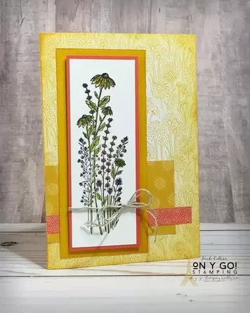 Card making ideas using the Dandy Garden patterned paper and the Memories and More Cards and Envelopes.